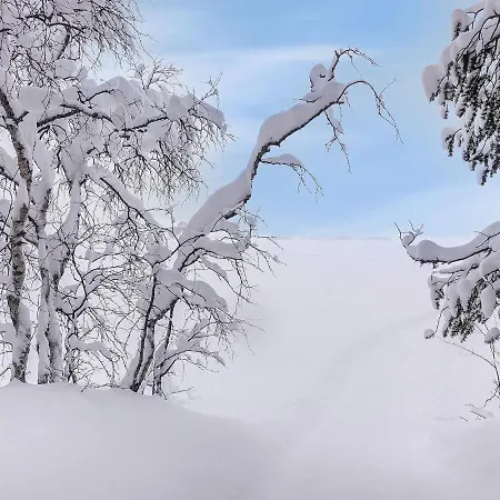 Lappi Dream House By Interhome Holiday home *