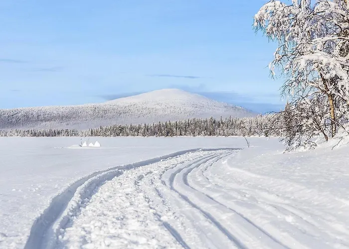 Lappi Dream House By Interhome * 基蒂莱