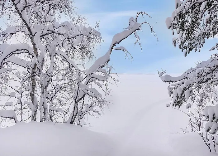 Lappi Dream House By Interhome 度假居 基蒂莱