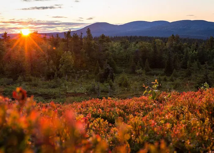 Lappi Dream House By Interhome 度假居